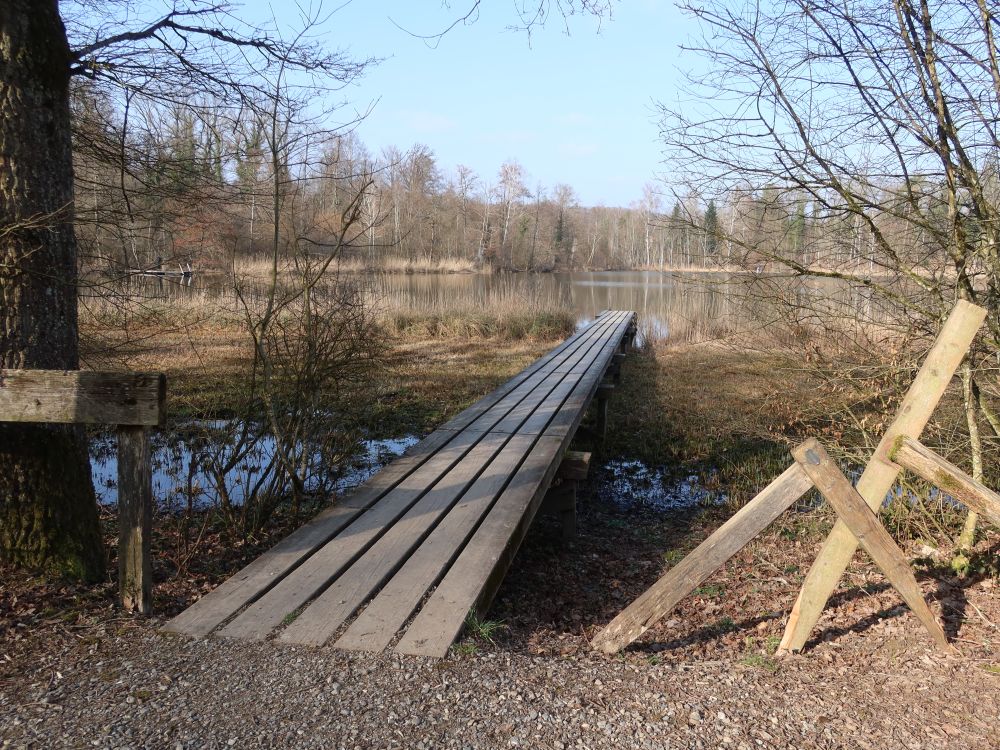 Steg am Badeplatz