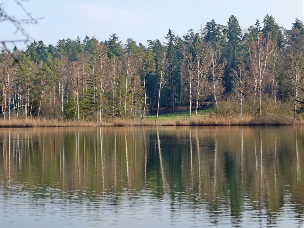 Husemersee