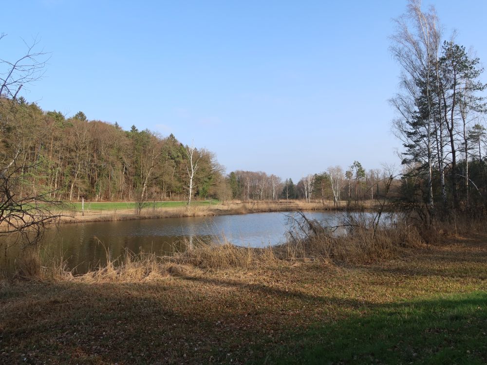 Amtweiher