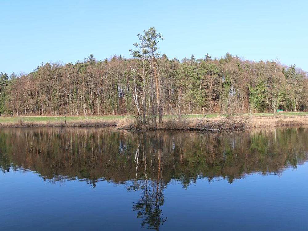 Amtweiher