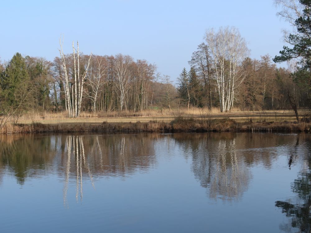 Amtweiher