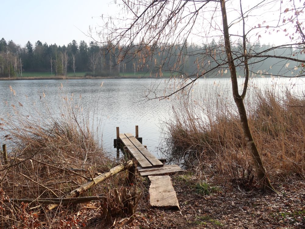 Steg am Husemersee