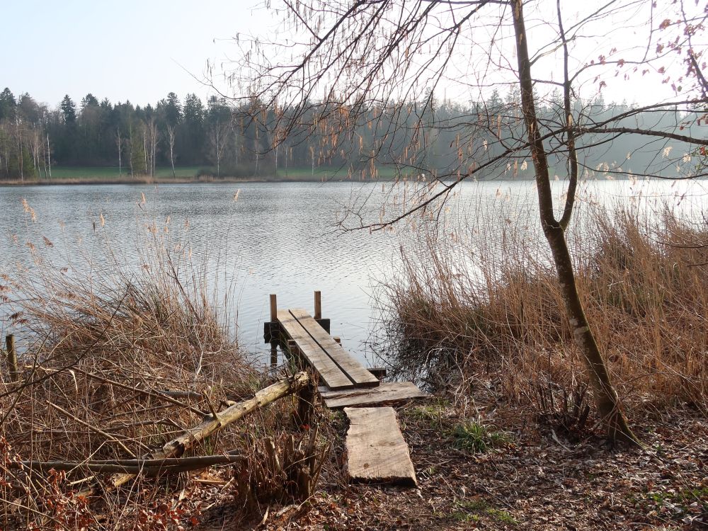 Steg am Husemersee