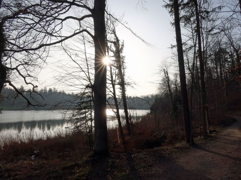 Sonnenstern überm Husemersee