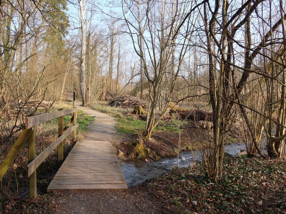 Holzsteg übern Wattbach