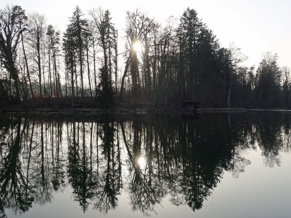 Wattweiher im Gegenlicht