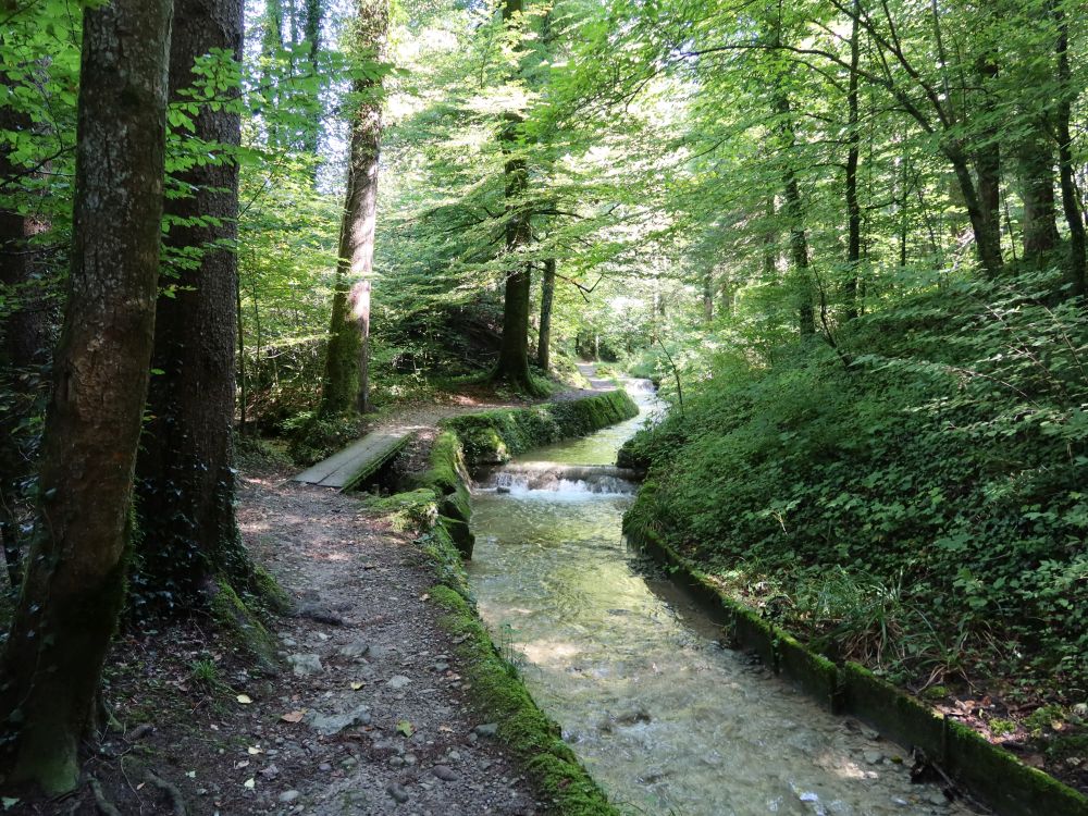 Pfad am Hutzikerbach