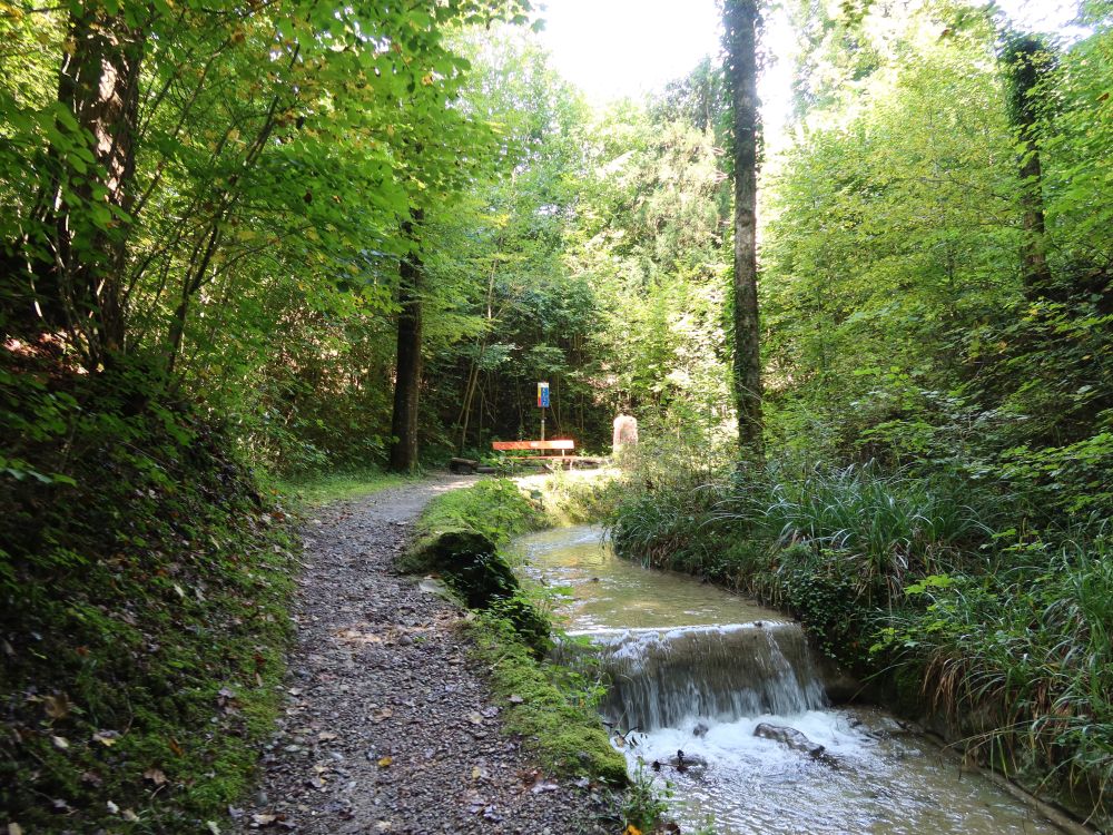 Pfad und Wasserfall am Hutzikerbach