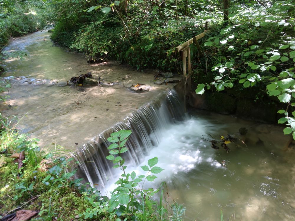 Wasserfall am Hutzikerbach