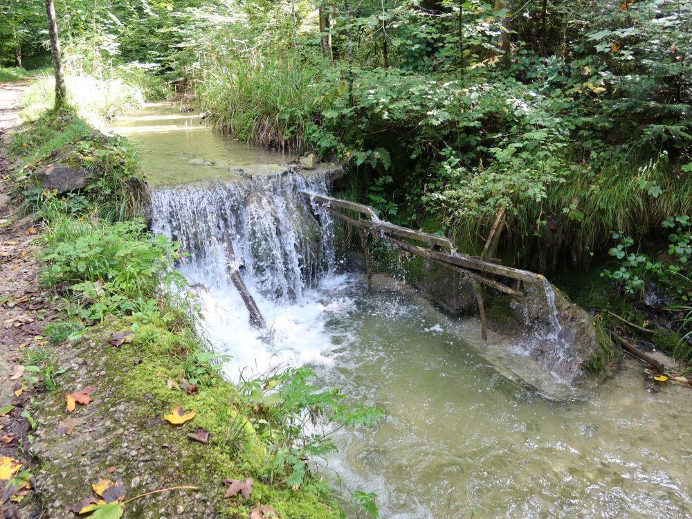 Wasserfall am Hutzikerbach