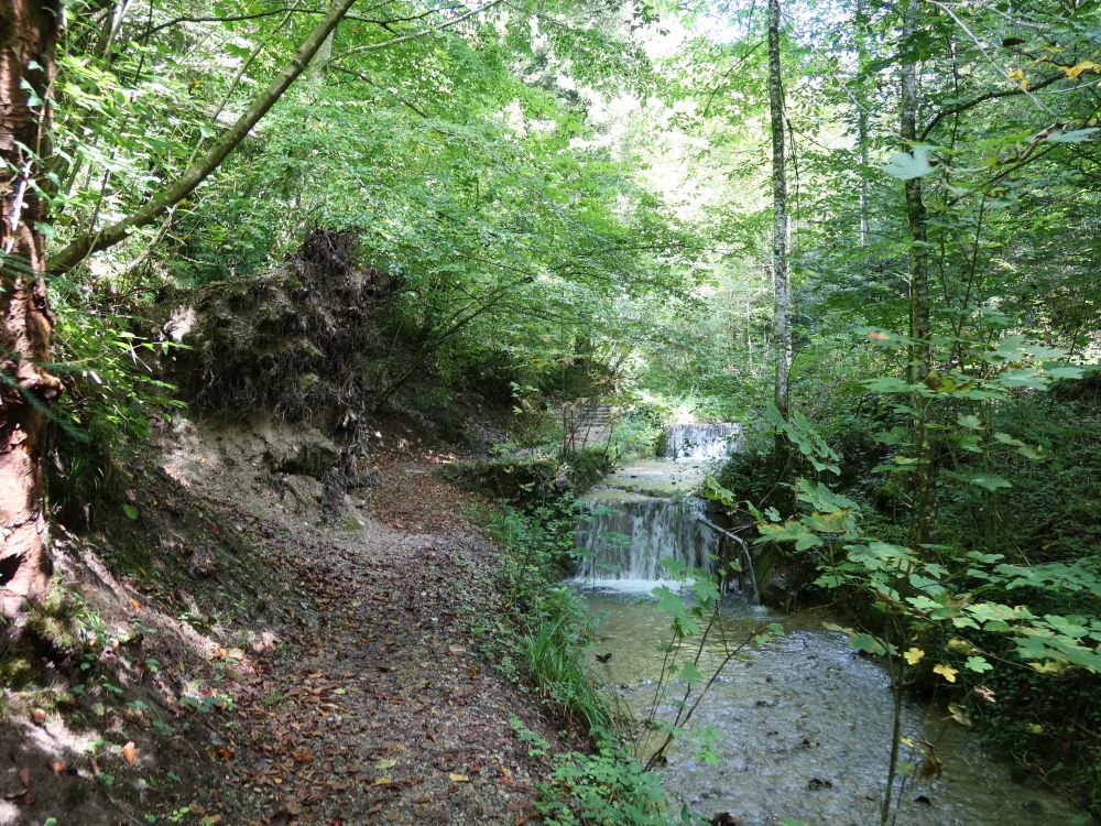 Pfad und Wasserfall am Hutzikerbach