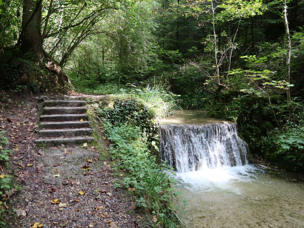 Treppe und Wasserfall am Hutzikerbach