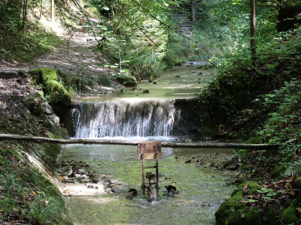 Wasserfall und Wasserrad