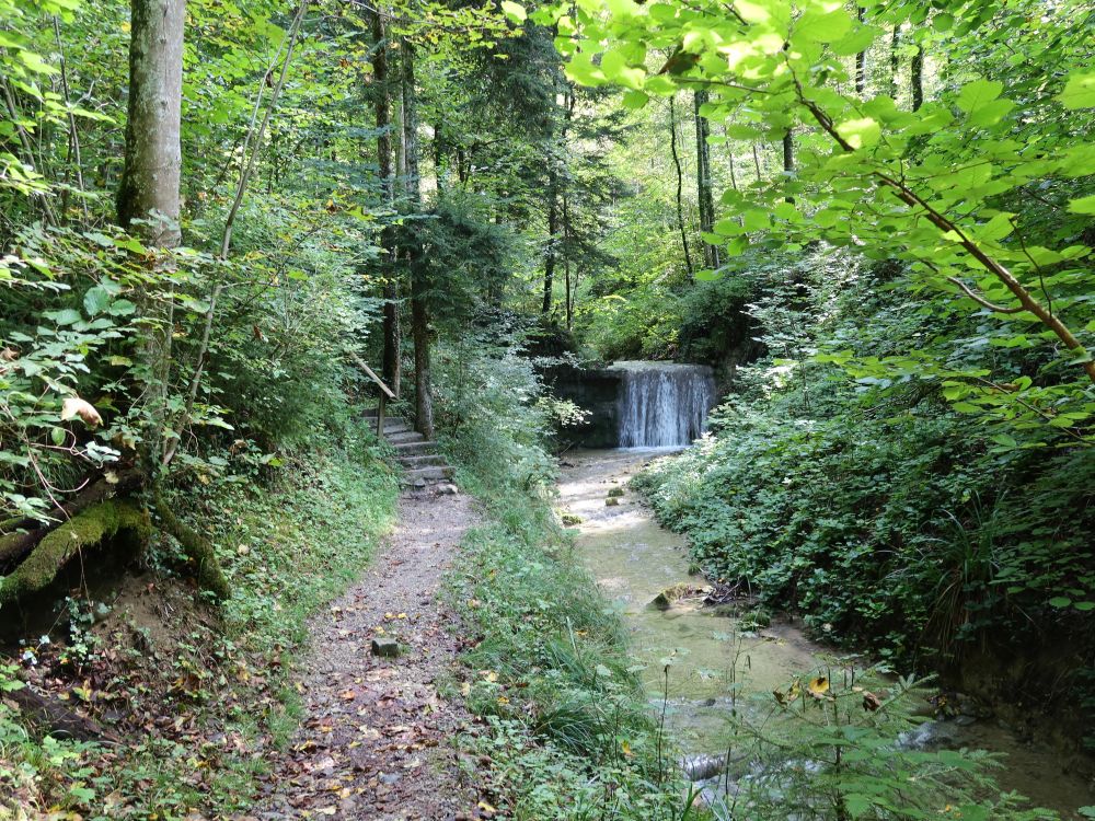 Treppe und Wasserfall am Hutzikerbach