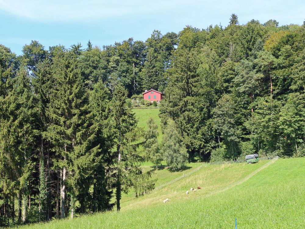Hütte bei Rüti