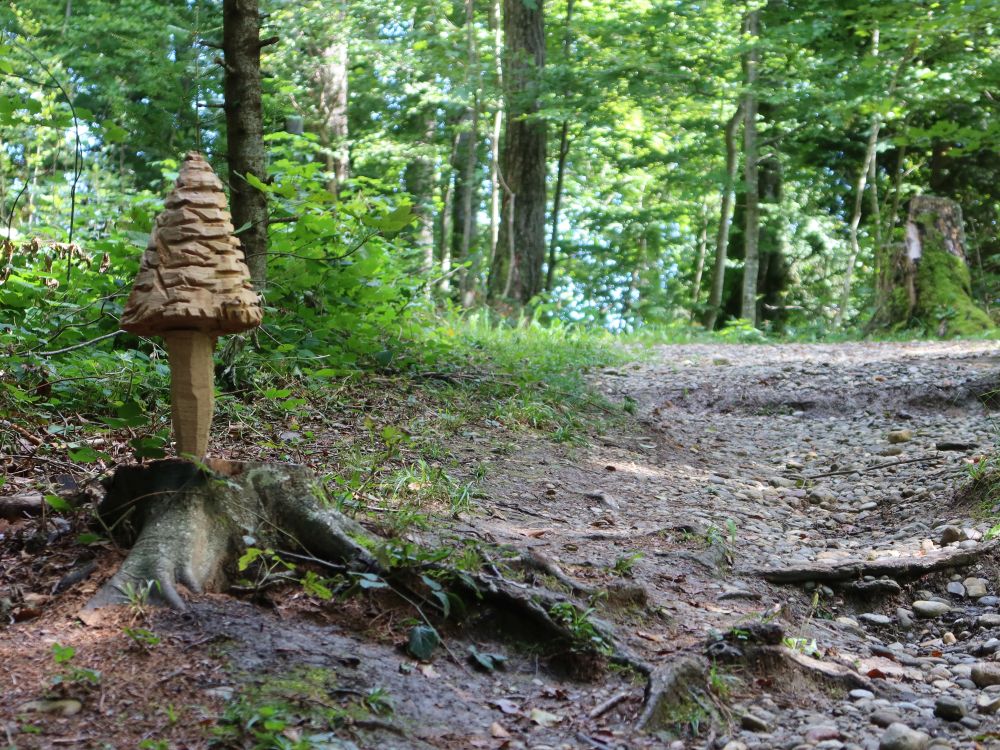 Holzpilz