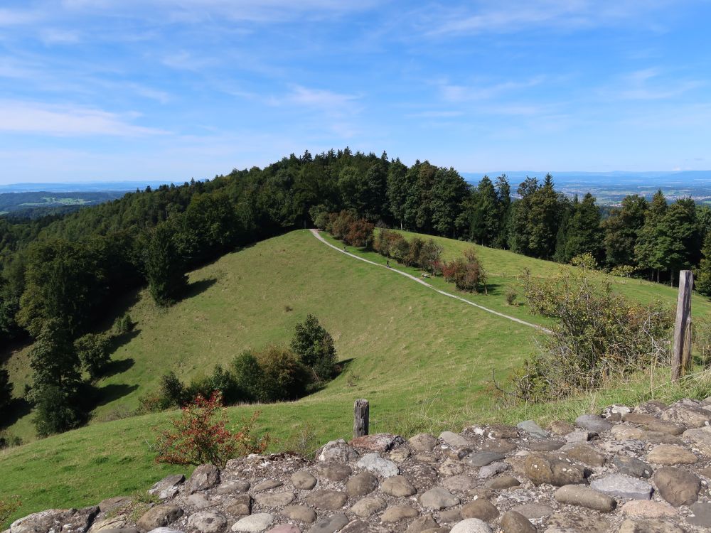 Blick zum Schauenbergweg