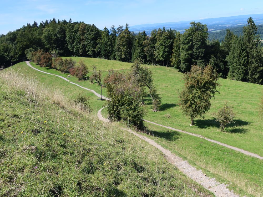 Schauenbergweg