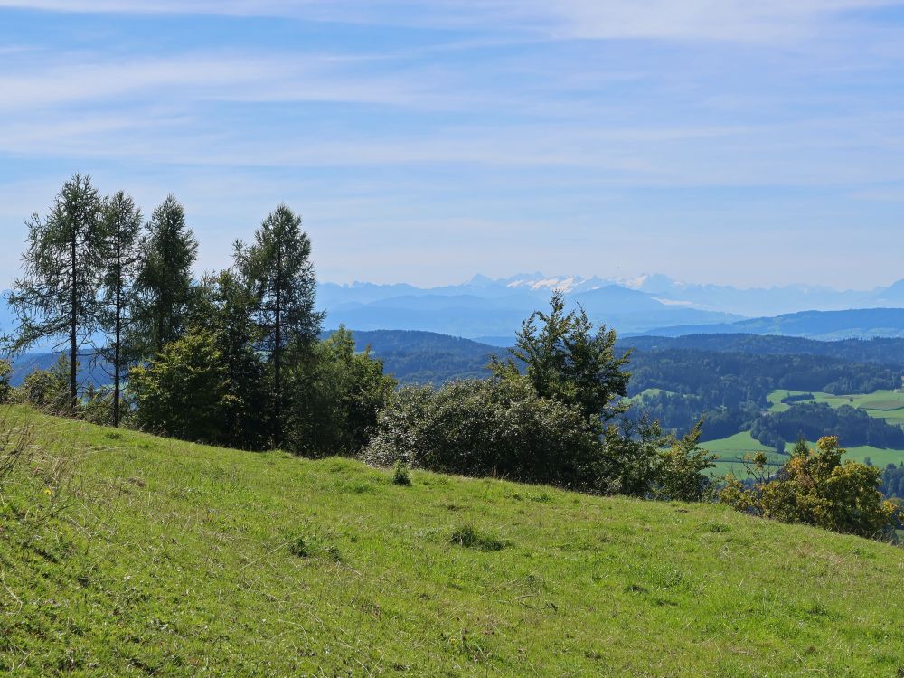 Berner Alpen am Horizont, Rigi im Vordergrund