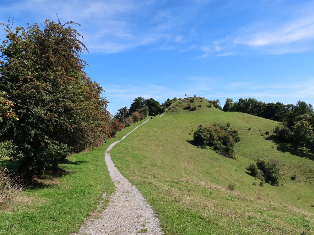 Blick zum Schauenberg