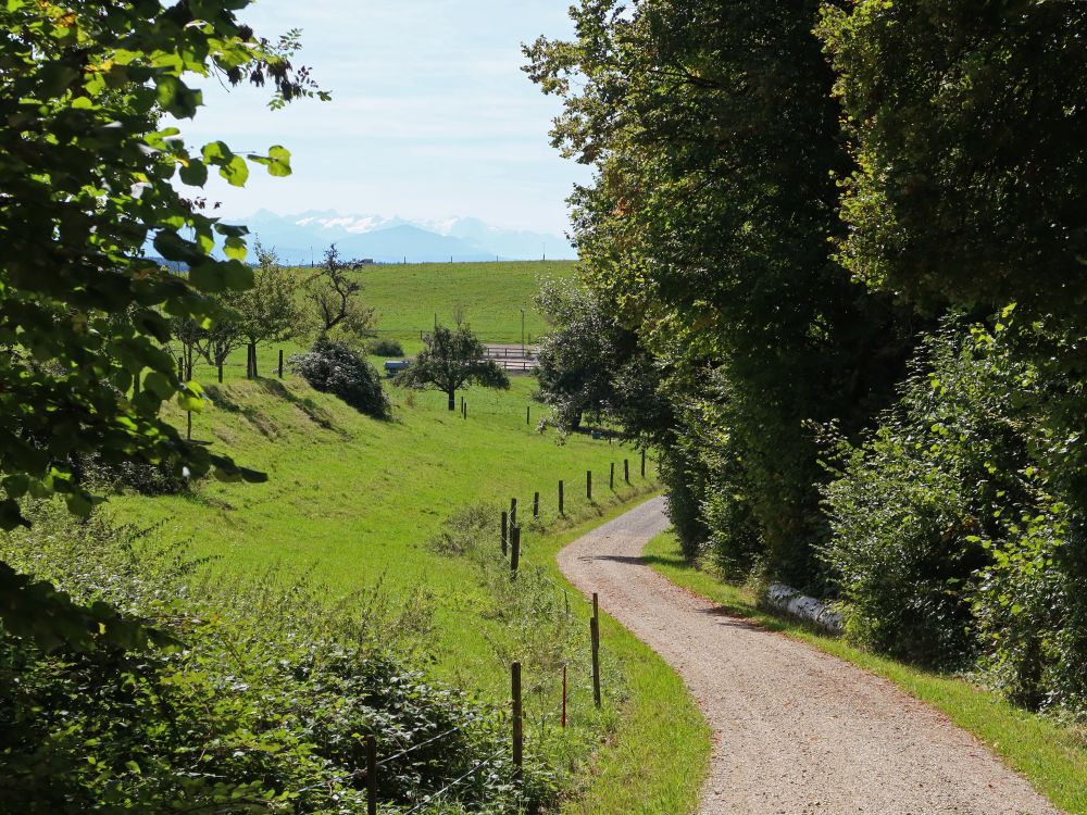 Schauenbergstrasse mit Rigi im Dunst