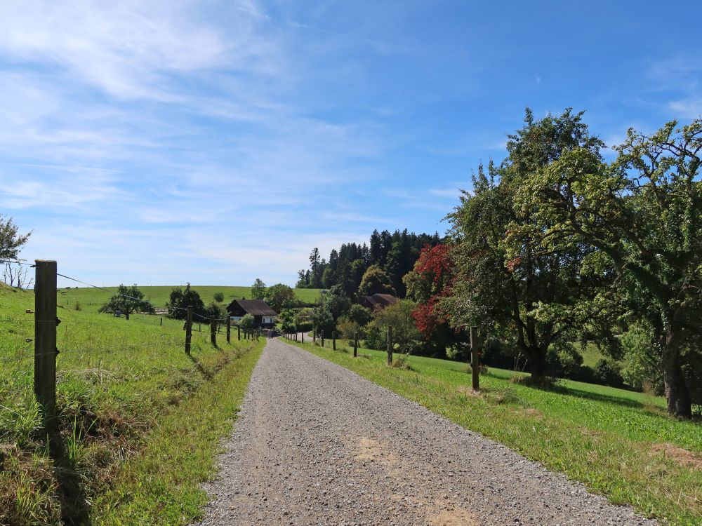 Schauenbergstrasse bei Schwändi