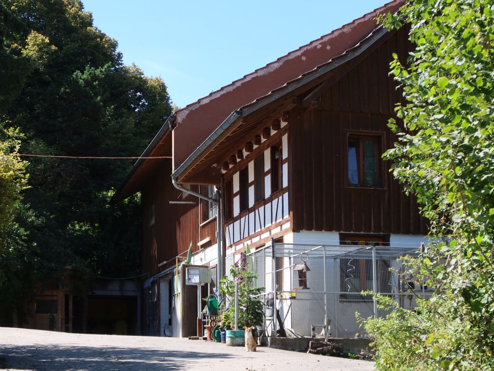 Bauernhof bei Schwändi