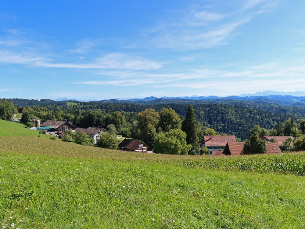 Girenbad und Alpenblick