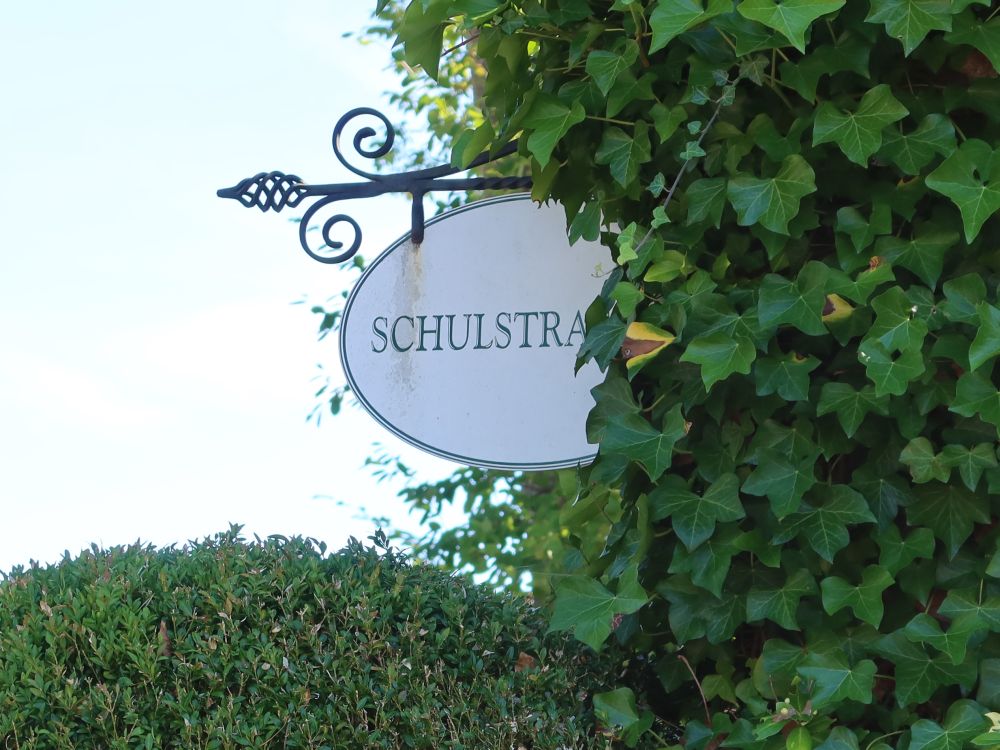 Strassenschild im Efeu
