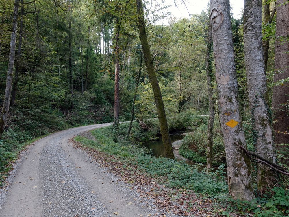 Weg an der Lüztelmurg