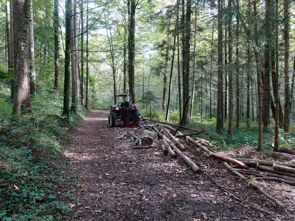 Holzverarbeitung