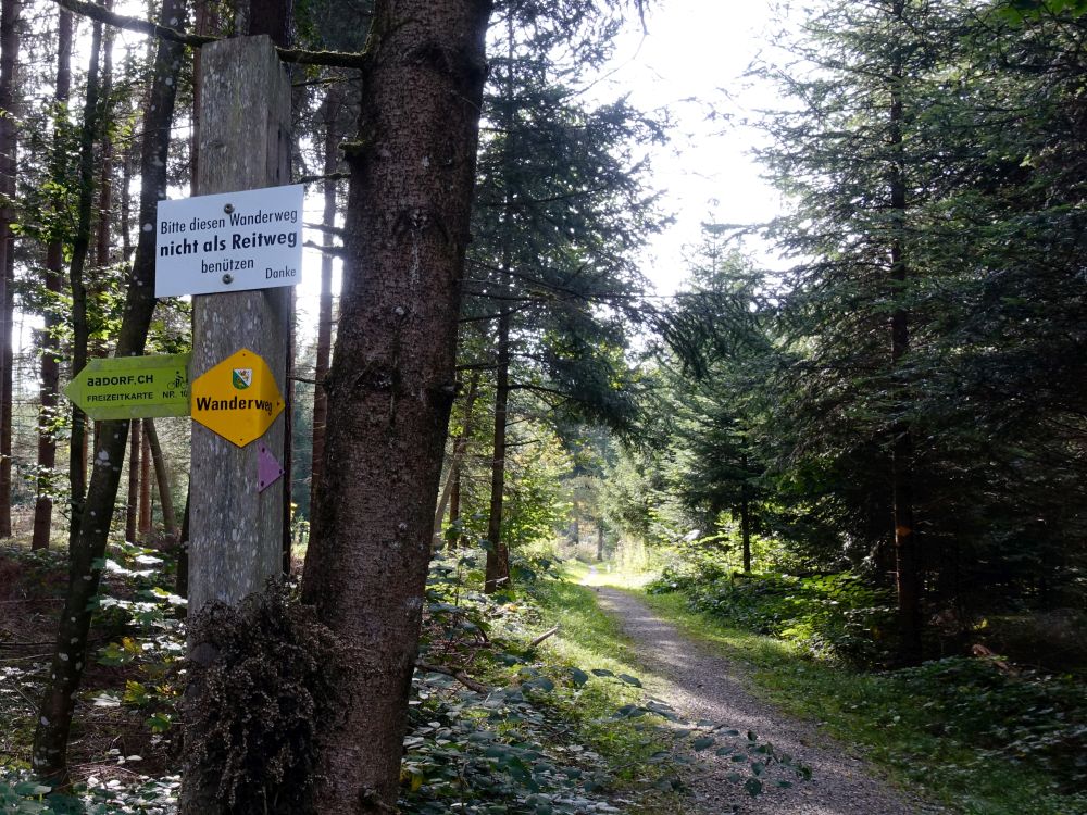 Wanderweg, nicht für Reiter