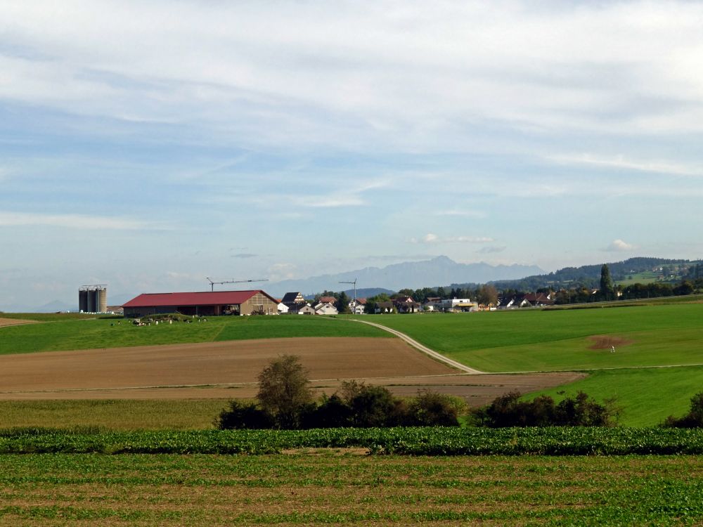 Wittenwil und Säntis