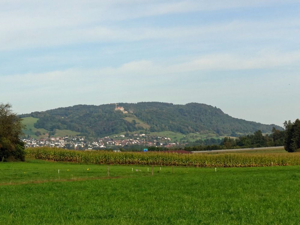 Stettfurt und Schlosss Sonnenberg