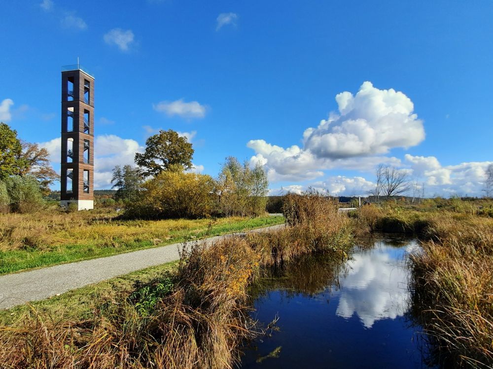 Bannwaldturm im Pfrunger Ried