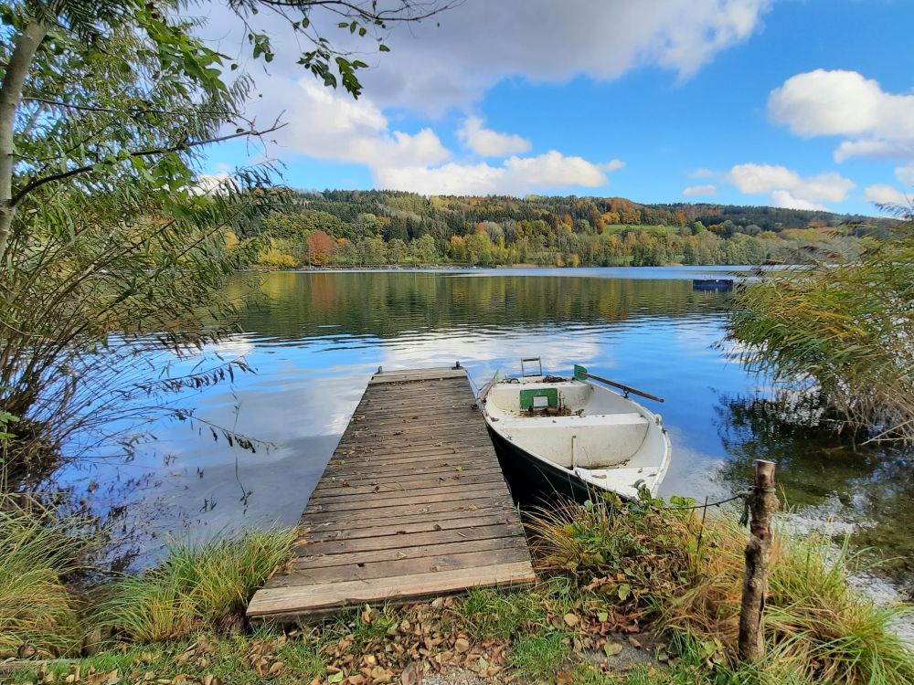 Bootssteg am Illmensee