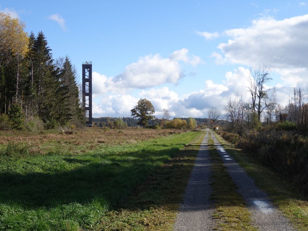 Bannwaldturm im Pfrunger Ried