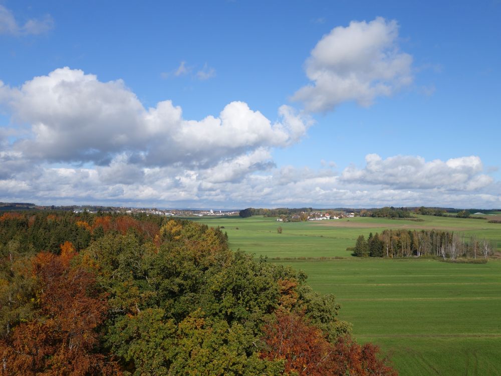 Blick vom Bannwaldturm