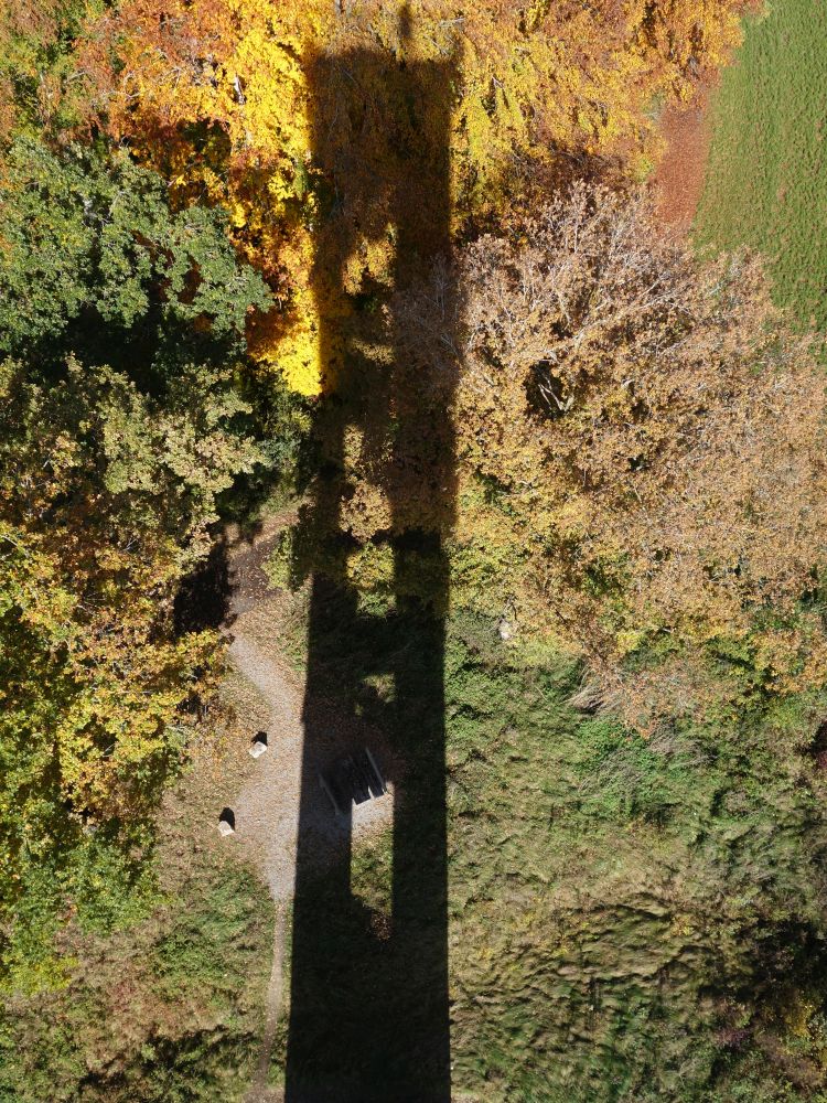 Schatten des Bannwaldturms