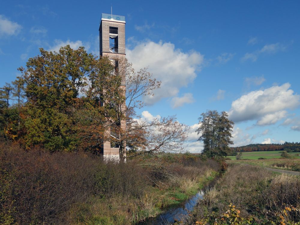 Bannwaldturm im Pfrunger Ried