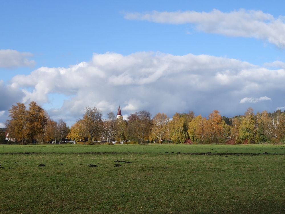 Seewiesen bei Illmensee