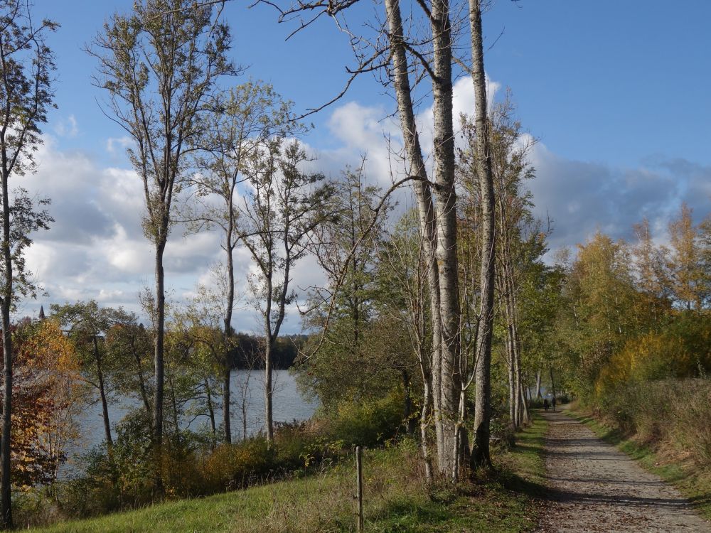 Uferweg Illmensee