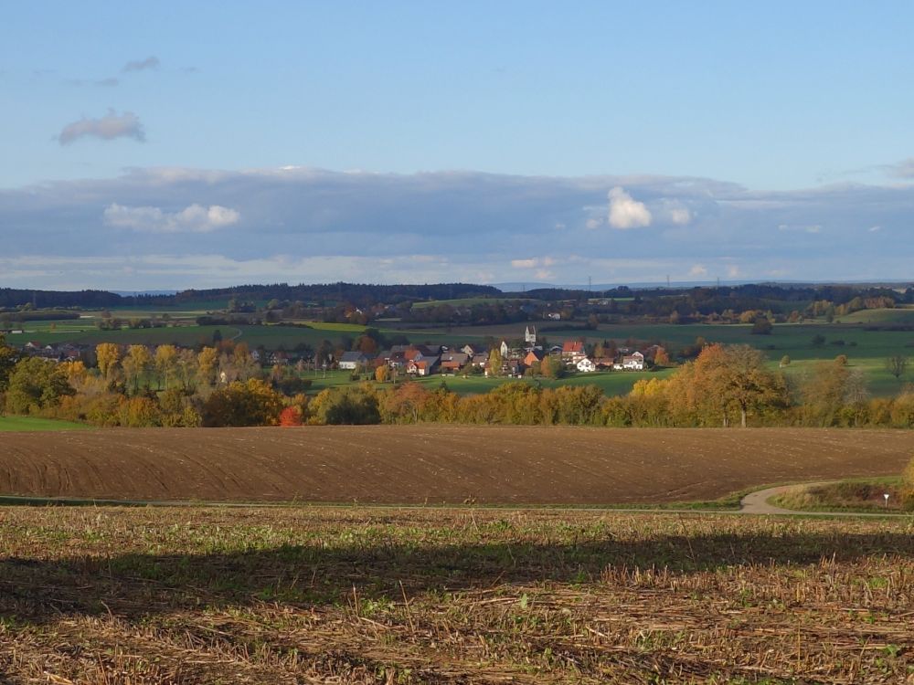 Blick Richtung Burgweiler