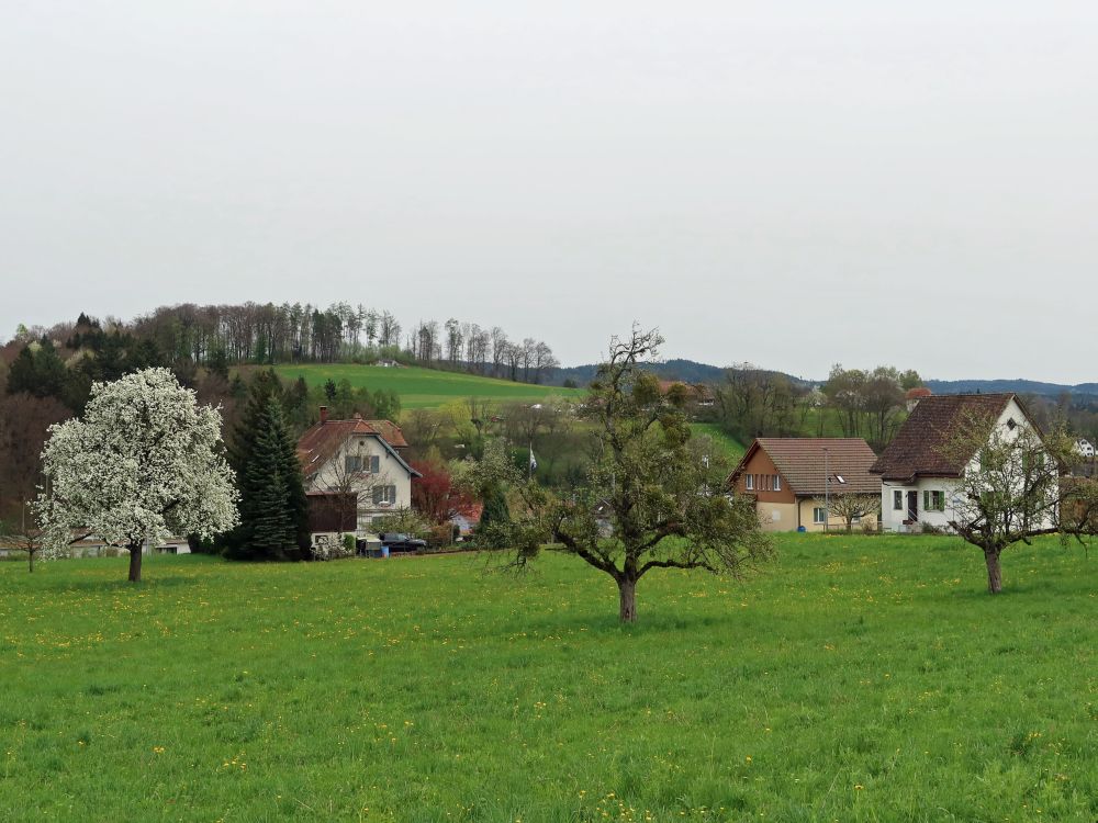 Blick Richtung Hornbuck