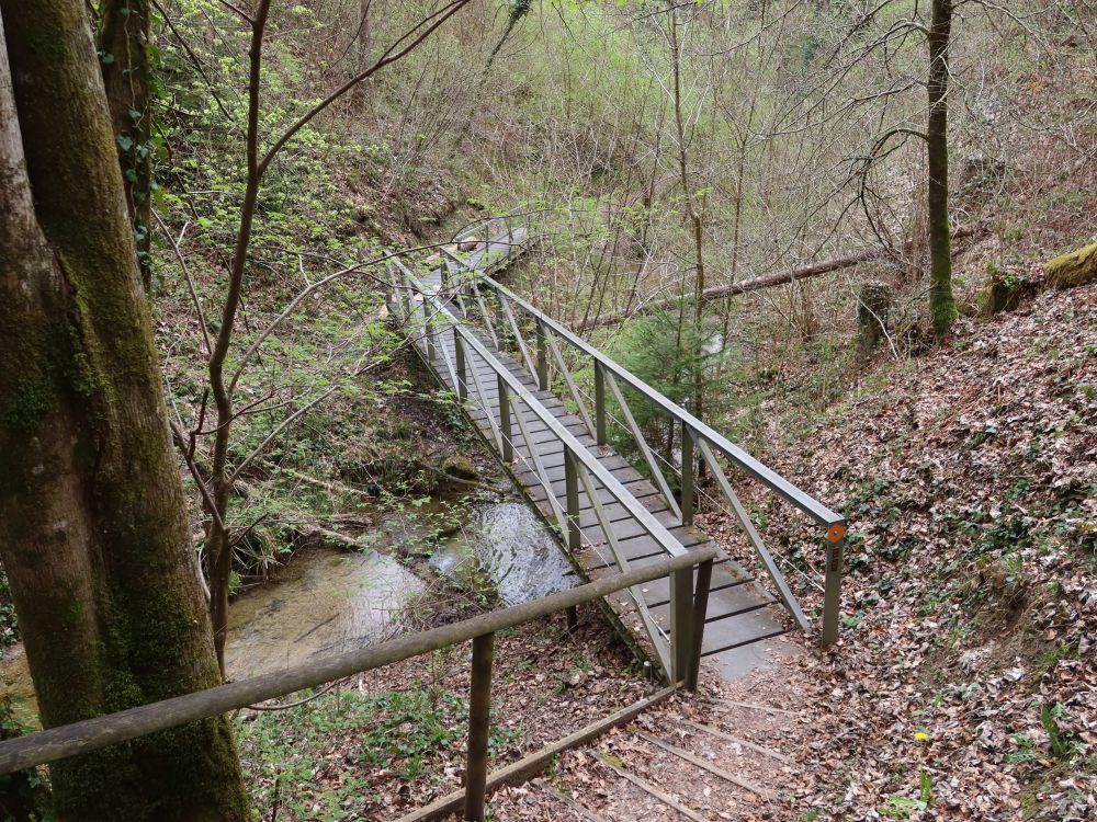 Steg am Täschfels