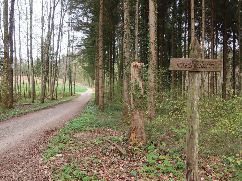 Waldweg