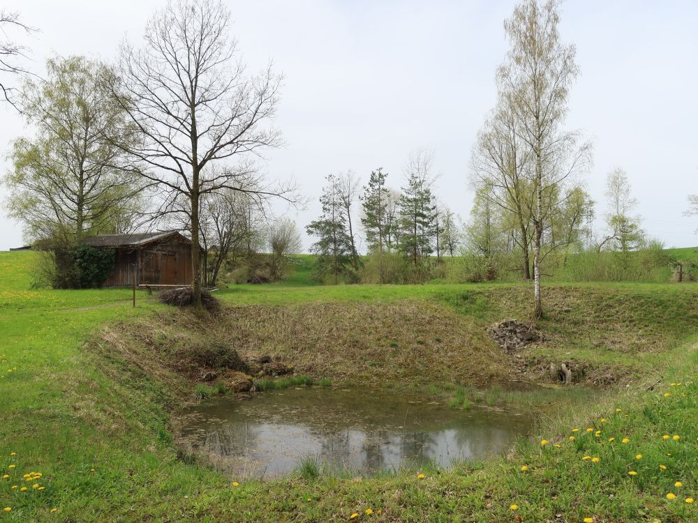 Teich bei Bogen