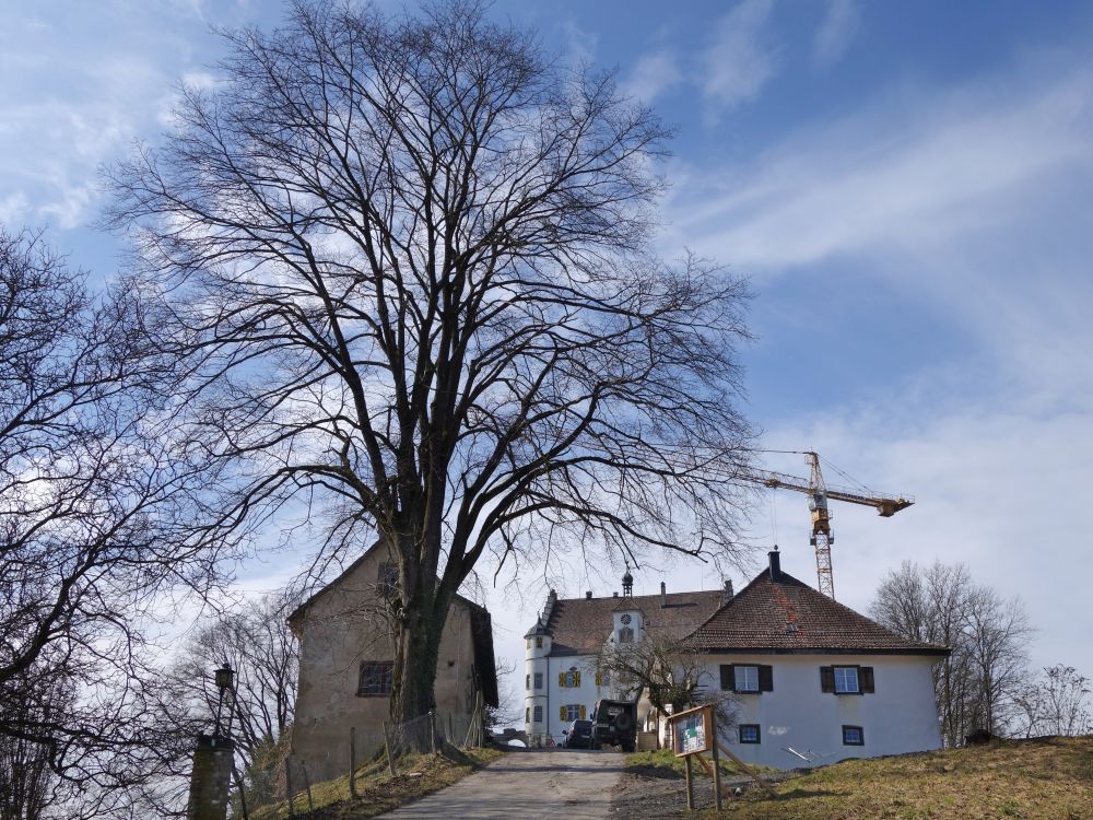 Schloss Sonnenberg