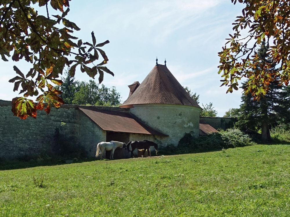 Pferde an der Einsiedlerkapelle