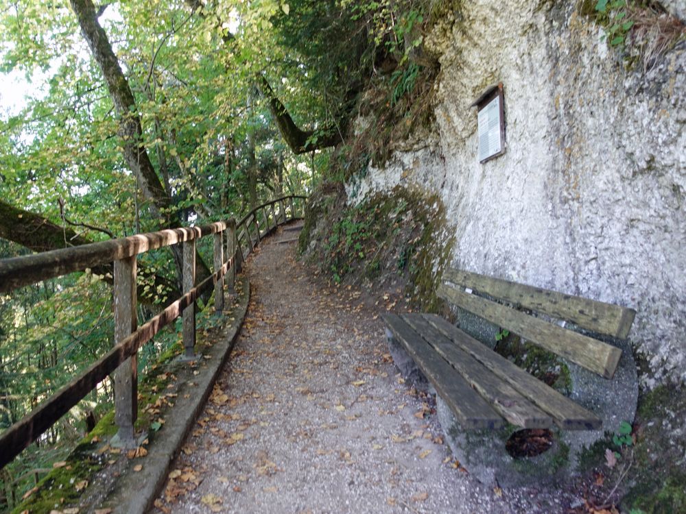 Bergpfad im Fürstlichen Park